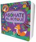 asómate al bosque-jonathan litton-9788491011460 asómate al bosque-jonathan litton-9788491011460