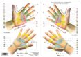 reflexologia de las manos-miguel jimenez hernandez-9788494518560 reflexologia de las manos-miguel jimenez hernandez-9788494518560