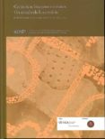 ceramicas hispanorromanas: un estado de la cuestion-d. bernal casasola-9788498282160 ceramicas hispanorromanas: un estado de la cuestion-d. bernal casasola-9788498282160