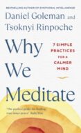 WHY WE MEDITATE : 7 SIMPLE PRACTICES FOR A CALMER MIND-13593074-otro-formato