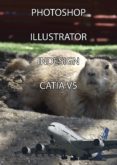 manuales de photoshop, illustrator, indesign y catia v5 (ebook)-francisco javier fernandez martin-9788483263570 manuales de photoshop, illustrator, indesign y catia v5 (ebook)-francisco javier fernandez martin-9788483263570