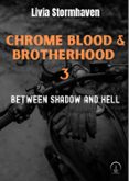 Libros en pdf gratis para descargar. BETWEEN SHADOW AND HELL