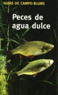 peces de agua dulce: como reconocerlos y determinarlos-gunter steinbach-9788480764780 peces de agua dulce: como reconocerlos y determinarlos-gunter steinbach-9788480764780