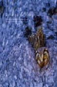 reflejos de vida: el libro de los fotografos de naturaleza de ara gon-9788483212080 reflejos de vida: el libro de los fotografos de naturaleza de ara gon-9788483212080