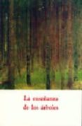 la enseñanza de los arboles-sara boix llaveria-9788497162180 la enseñanza de los arboles-sara boix llaveria-9788497162180