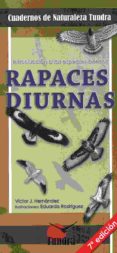 rapaces diurnas - 7 ª edicion-eduardo luis rodriguez-9788416702190 rapaces diurnas - 7 ª edicion-eduardo luis rodriguez-9788416702190