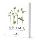 anima (ed. bilingüe español-ingles)-fina puigdevall-manel puigvert-9788472121690 anima (ed. bilingüe español-ingles)-fina puigdevall-manel puigvert-9788472121690