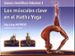 los musculos clave en el hatha yoga (volumen i)-9788495376800 los musculos clave en el hatha yoga (volumen i) 9788495376800