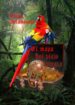 el mapa del viejo pirata (ebook)-9788468610450 el mapa del viejo pirata (ebook) 9788468610450