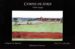campos de soria-9788494662270 campos de soria 9788494662270