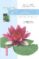 plantes aquatiques et de berges: comment les choisir et les culti ver facilement-dominique albert-pierre-henry tramier-9782841382040 plantes aquatiques et de berges: comment les choisir et les culti ver facilement dominique albert pierre henry tramier 9782841382040