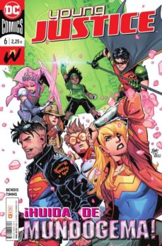 Portada de YOUNG JUSTICE Nº 6