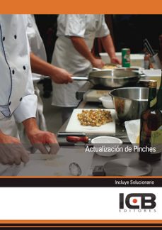 Portada de MANUAL ACTUALIZACIN DE PINCHES