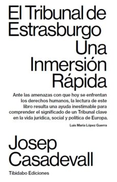 Descargar EL TRIBUNAL DE ESTRASBURGO. UNA INMERSION RAPIDA gratis pdf - leer online