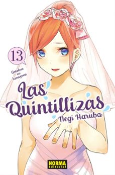Portada de LAS QUINTILLIZAS 13 (EBOOK)