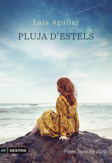 Resultado de imagen de pluja d'estels llibre