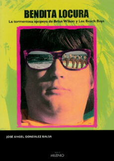 Descargar BENDITA LOCURA gratis pdf - leer online