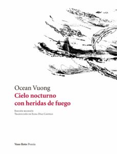 Portada de CIELO NOCTURNO CON HERIDAS DE FUEGO
