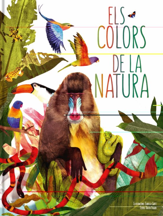 ELS COLORS DE LA NATURA | VALTER FOGATO | Comprar libro 9788413342320