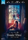 wonder wheel - blu ray --8436535546980 wonder wheel - blu ray --8436535546980